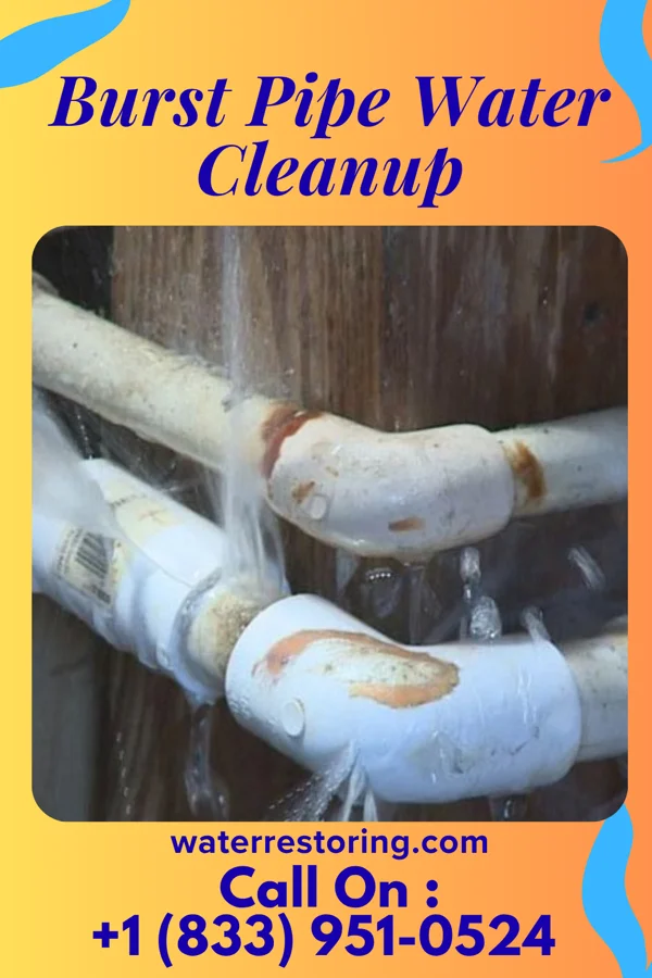 Burst Pipe Water Cleanup in Somerdale, NJ