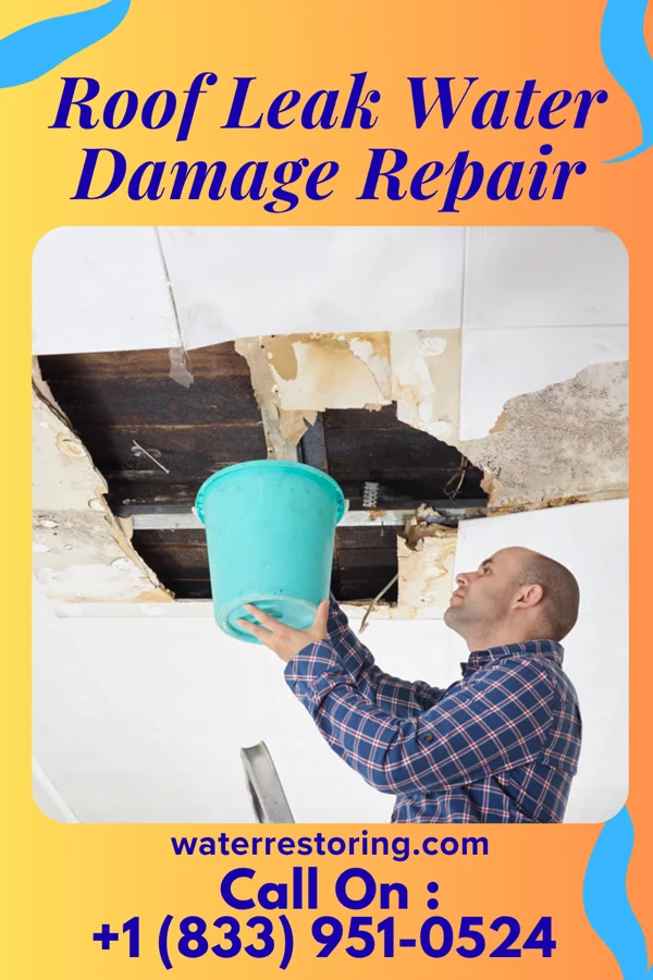 Roof Leak Water Damage Repair in Somerdale, NJ