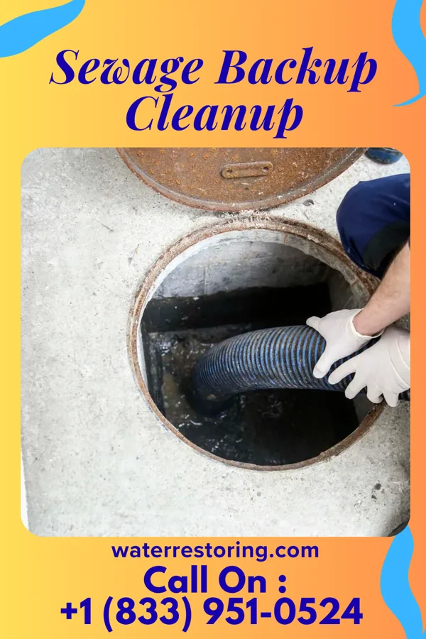 Sewage Backup Cleanup in Somerdale, NJ